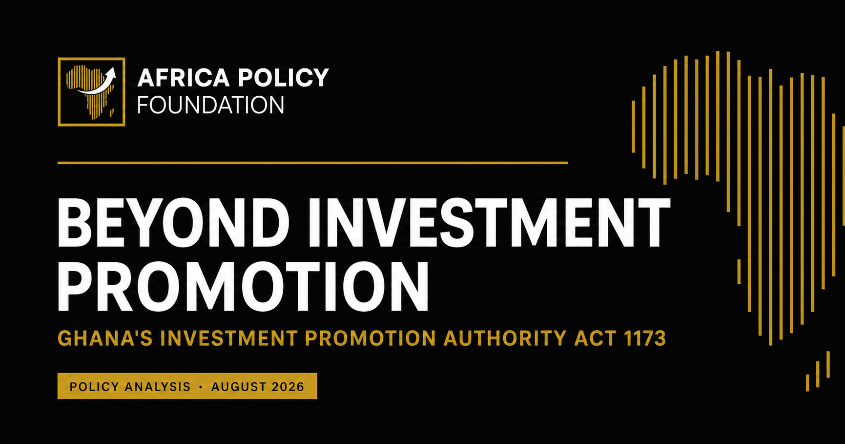 Beyond Investment Promotion policy analysis by the Africa Policy Foundation